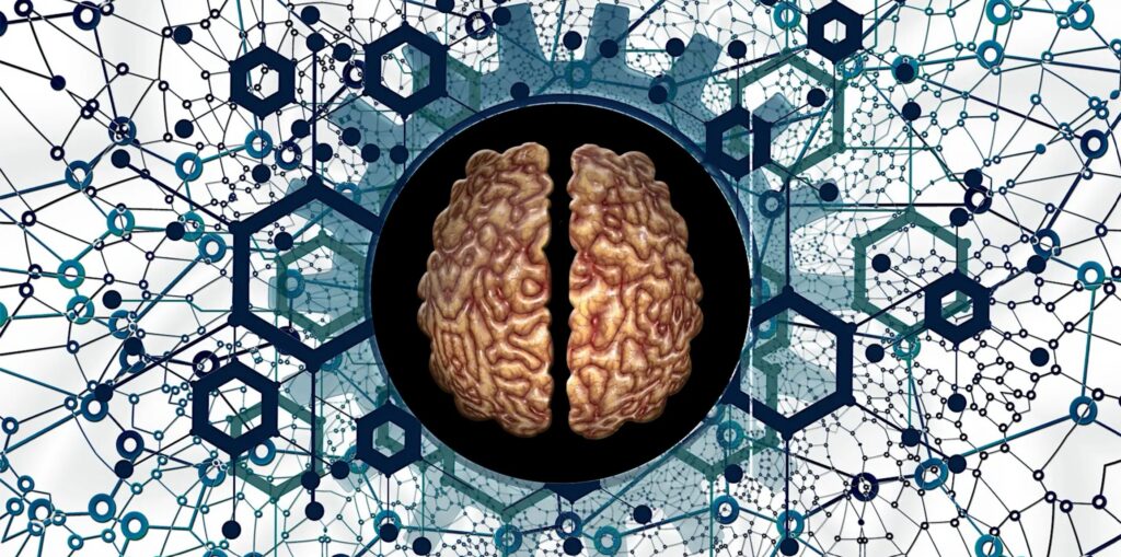illustration of a brain