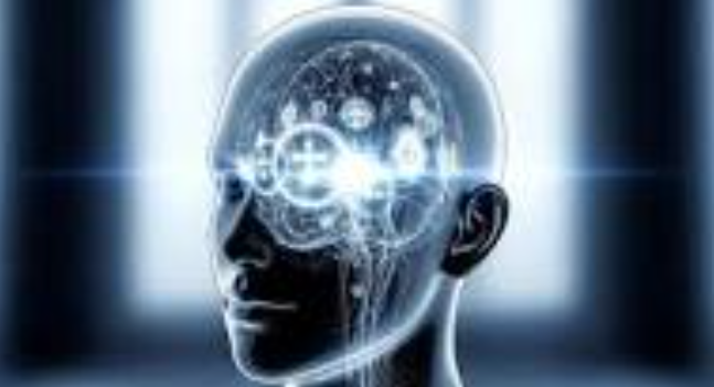 illustration of a head with brain activity